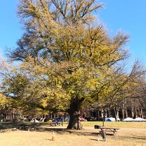 Meet your Posher, Hillary